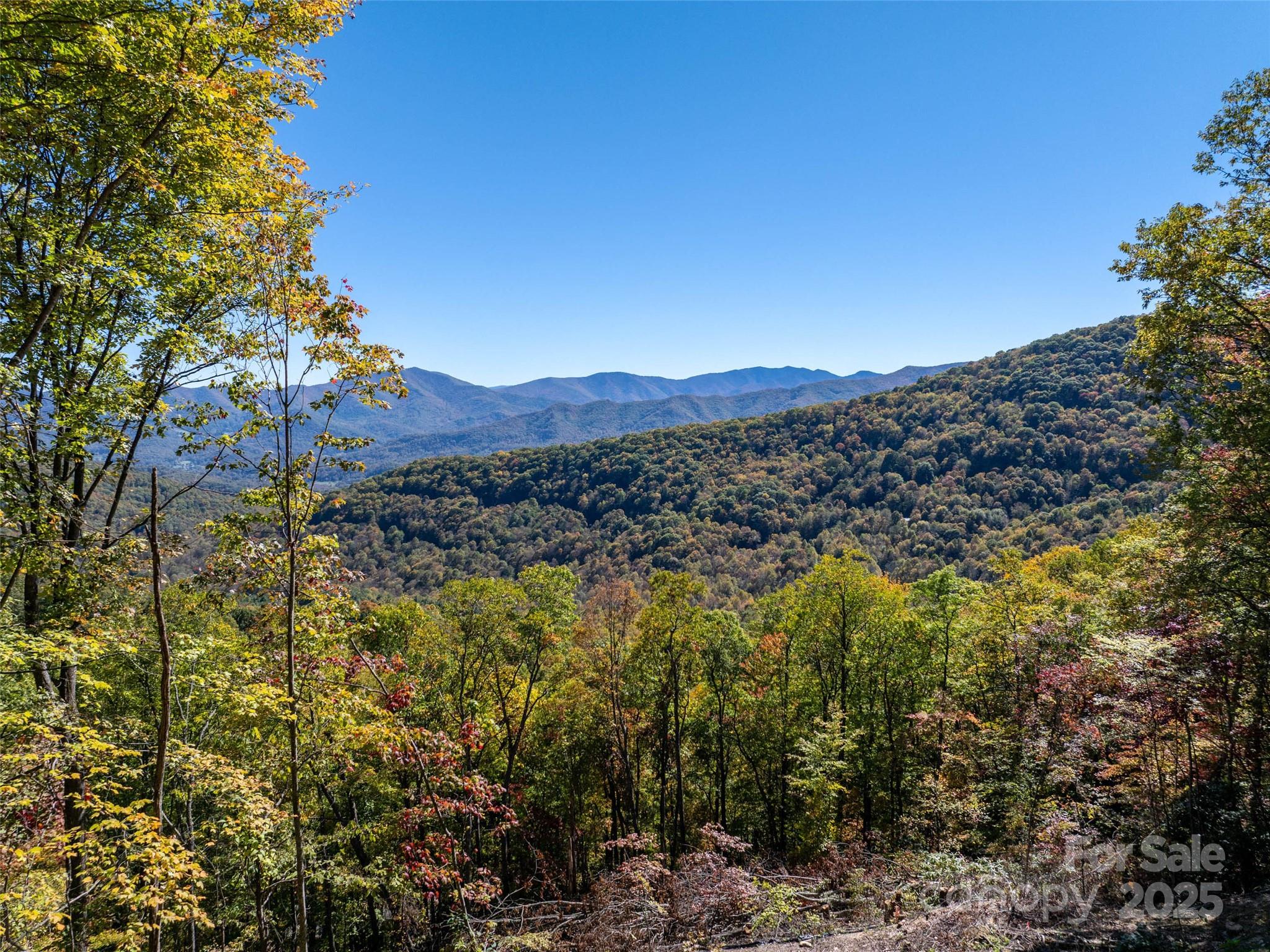 Villages Of Plott Creek - Land