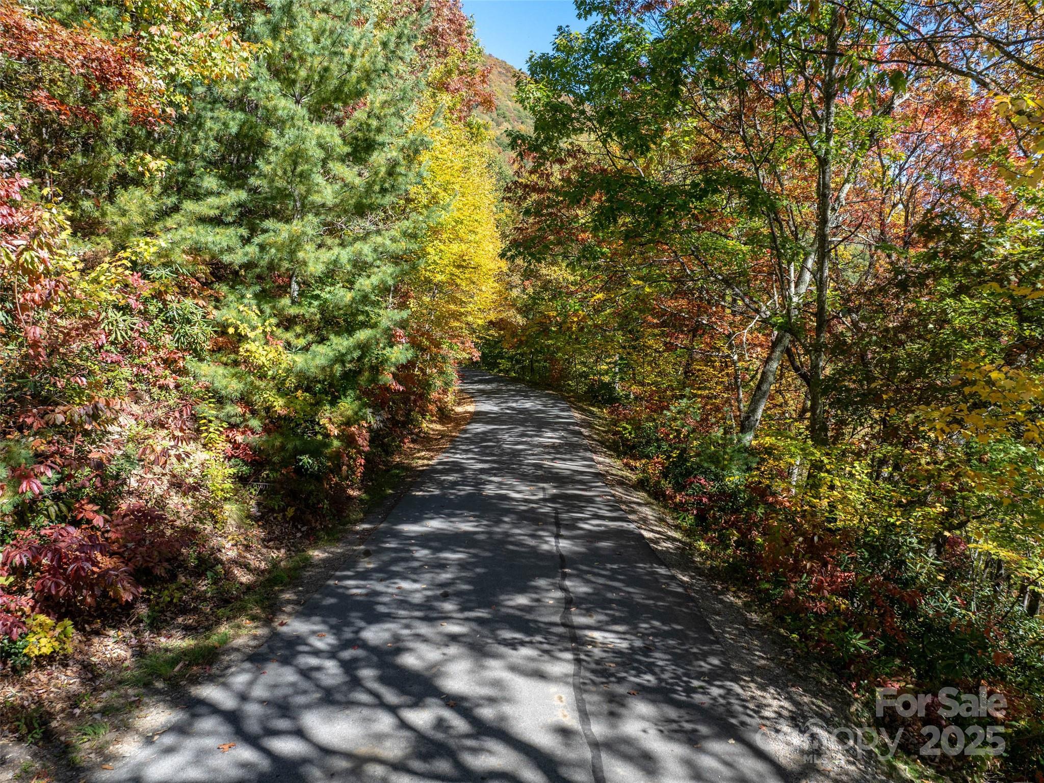 Villages Of Plott Creek - Land