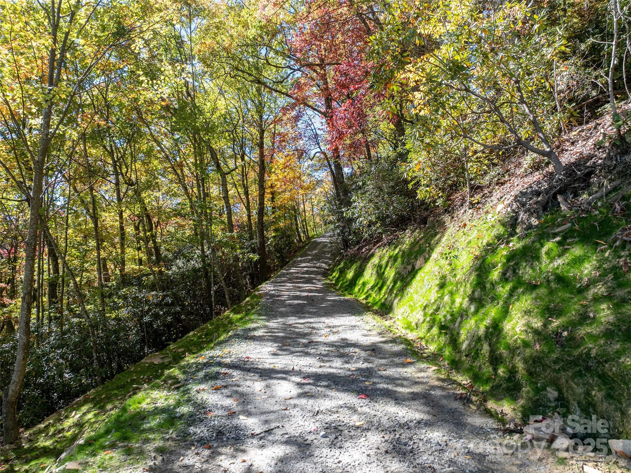 Villages Of Plott Creek - Land