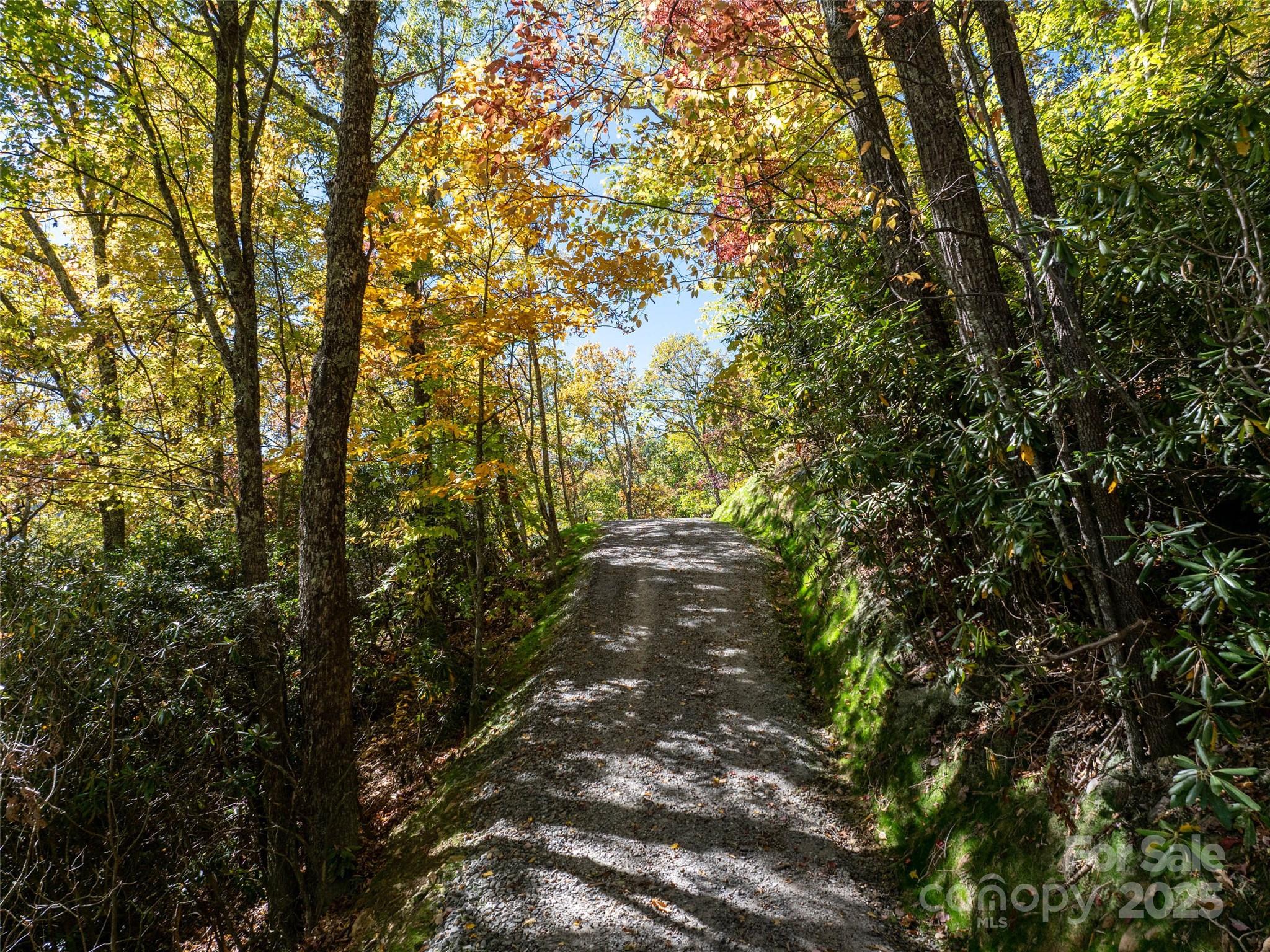 Villages Of Plott Creek - Land