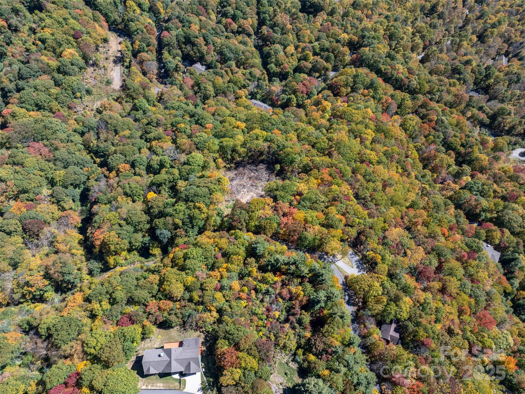 Villages Of Plott Creek - Land