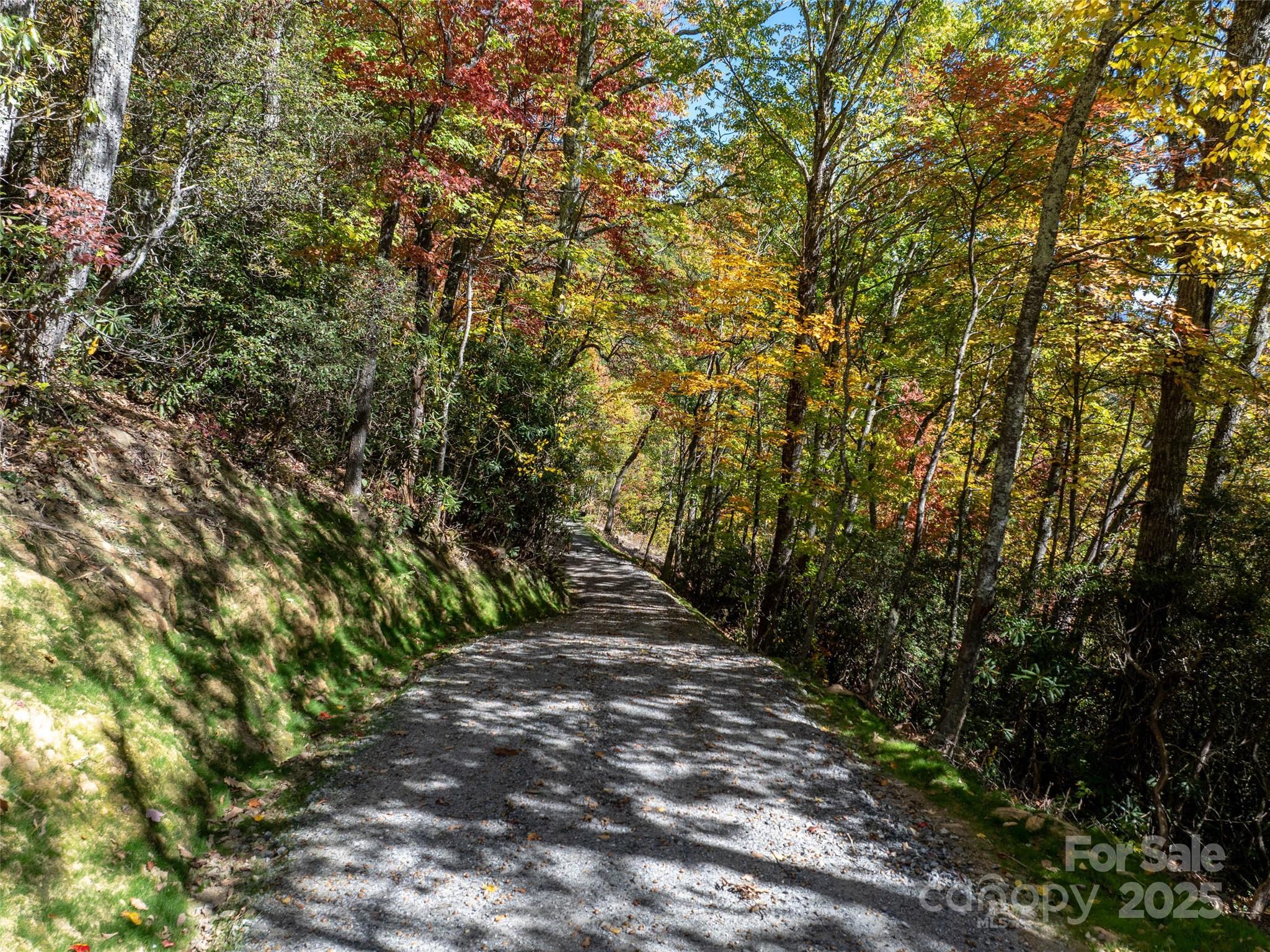 Villages Of Plott Creek - Land