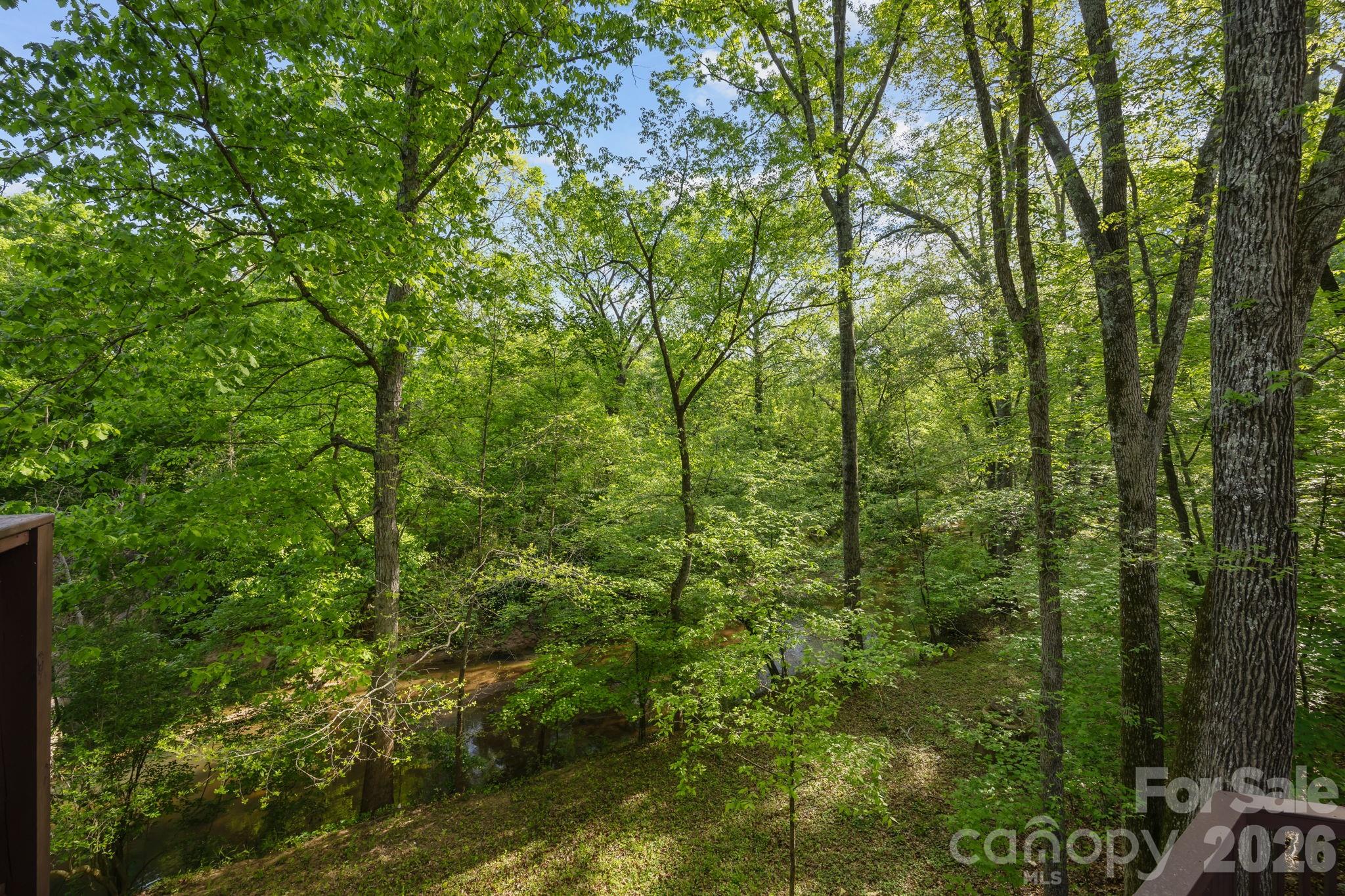 Timber Forest - Residential