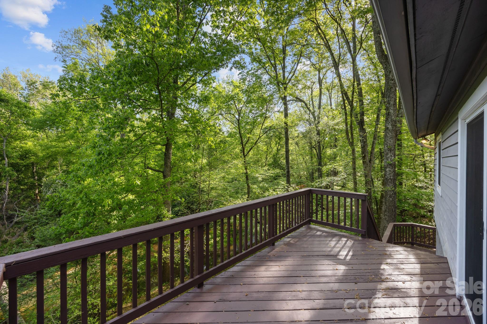 Timber Forest - Residential