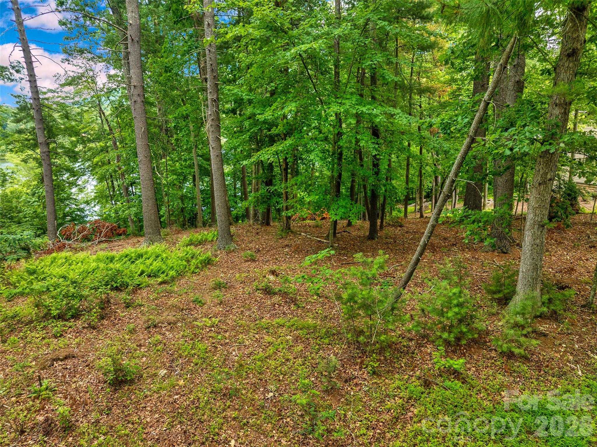 Biltmore Lake - Land