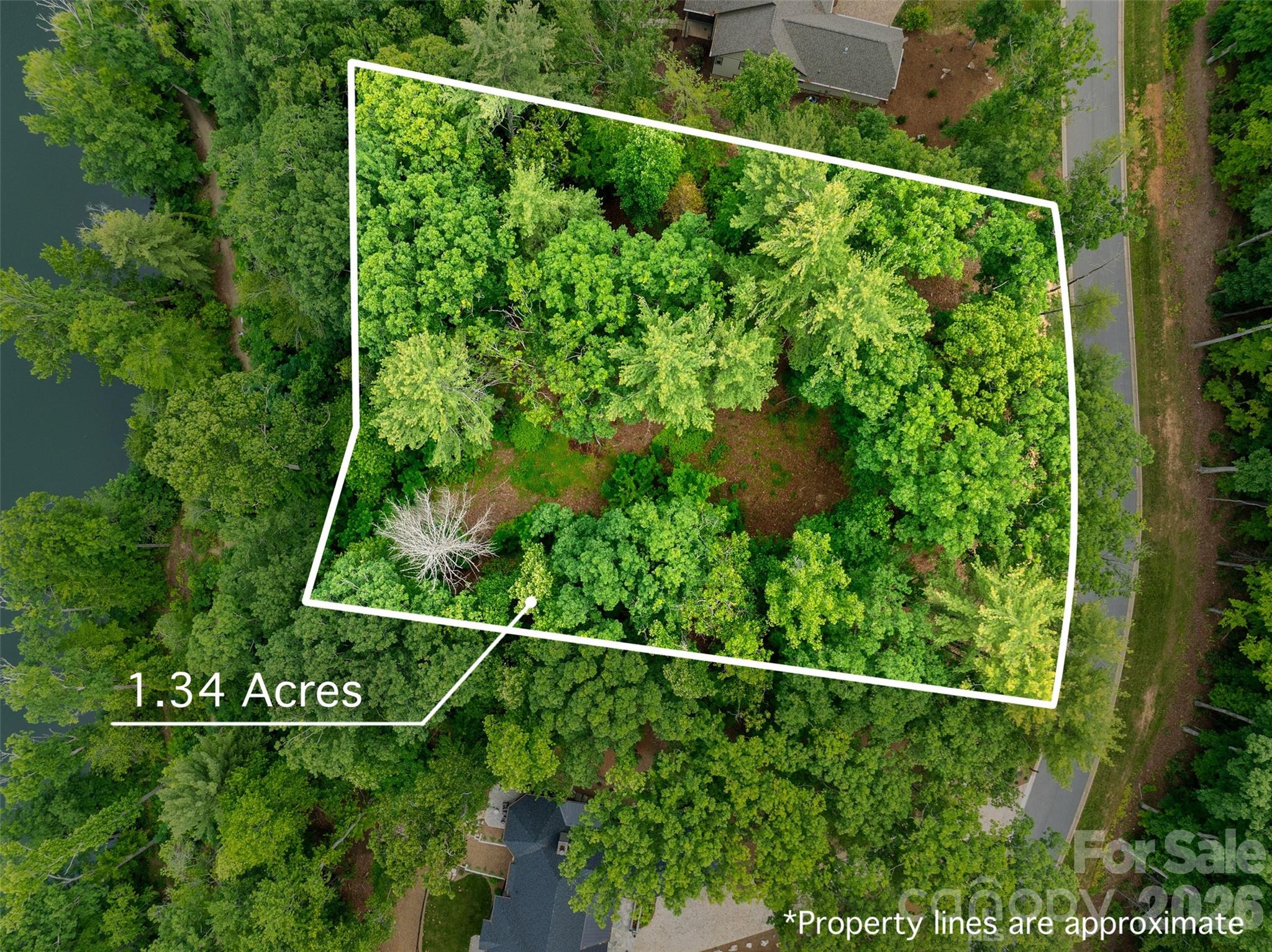 Biltmore Lake - Land