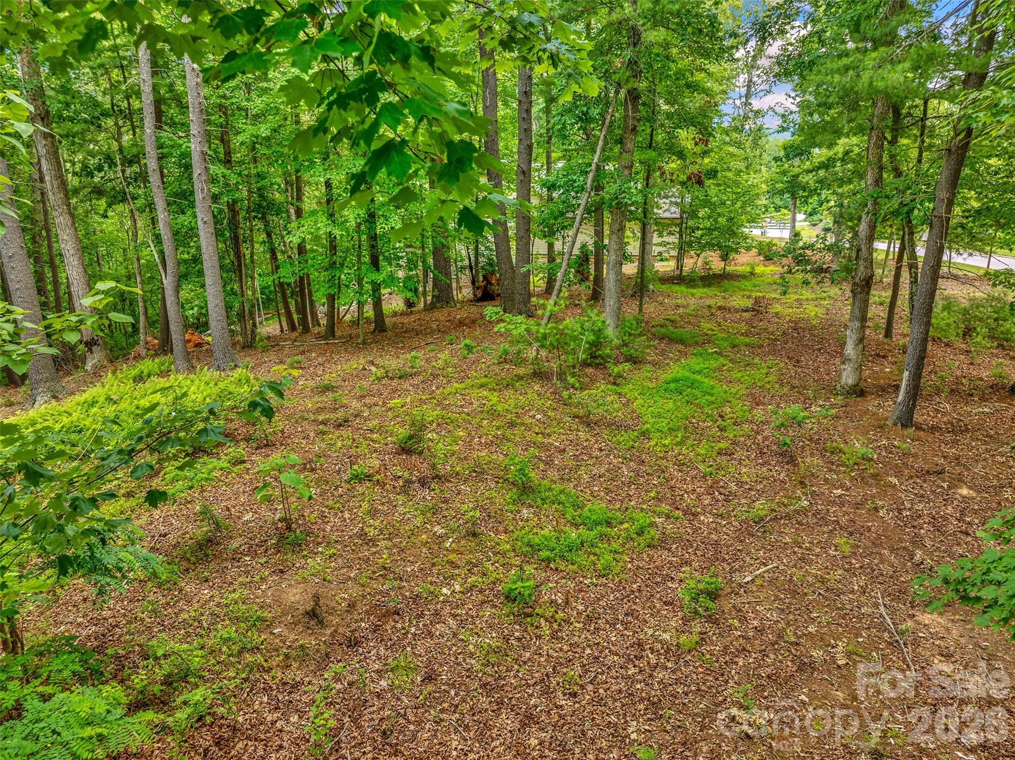 Biltmore Lake - Land