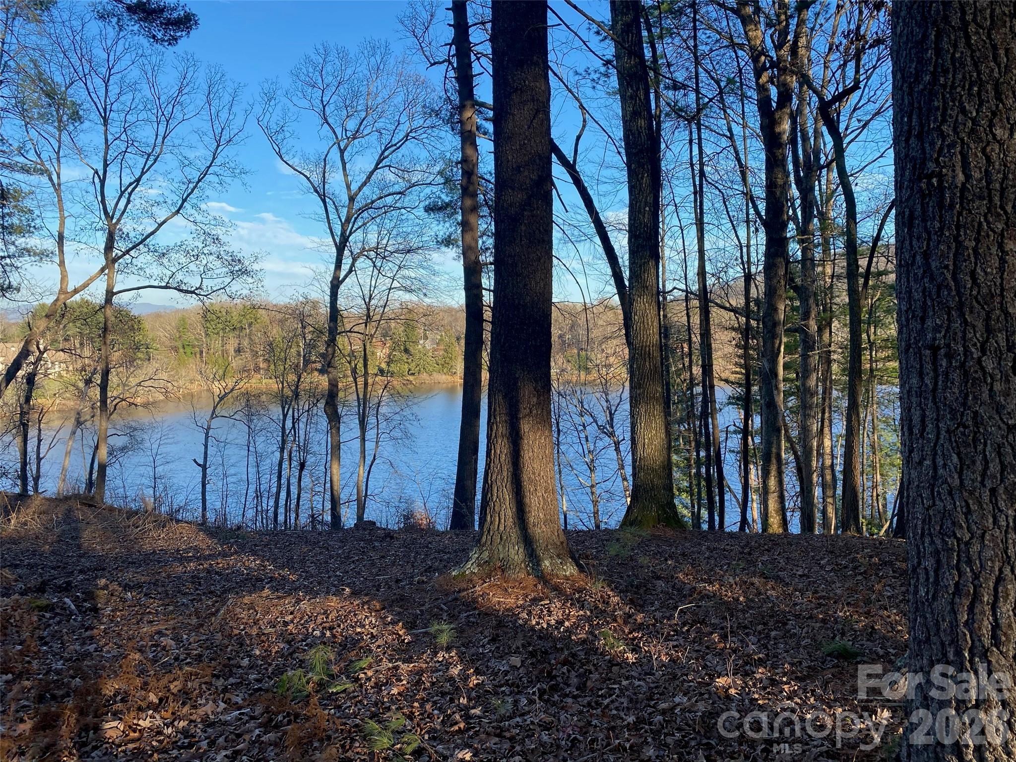 Biltmore Lake - Land