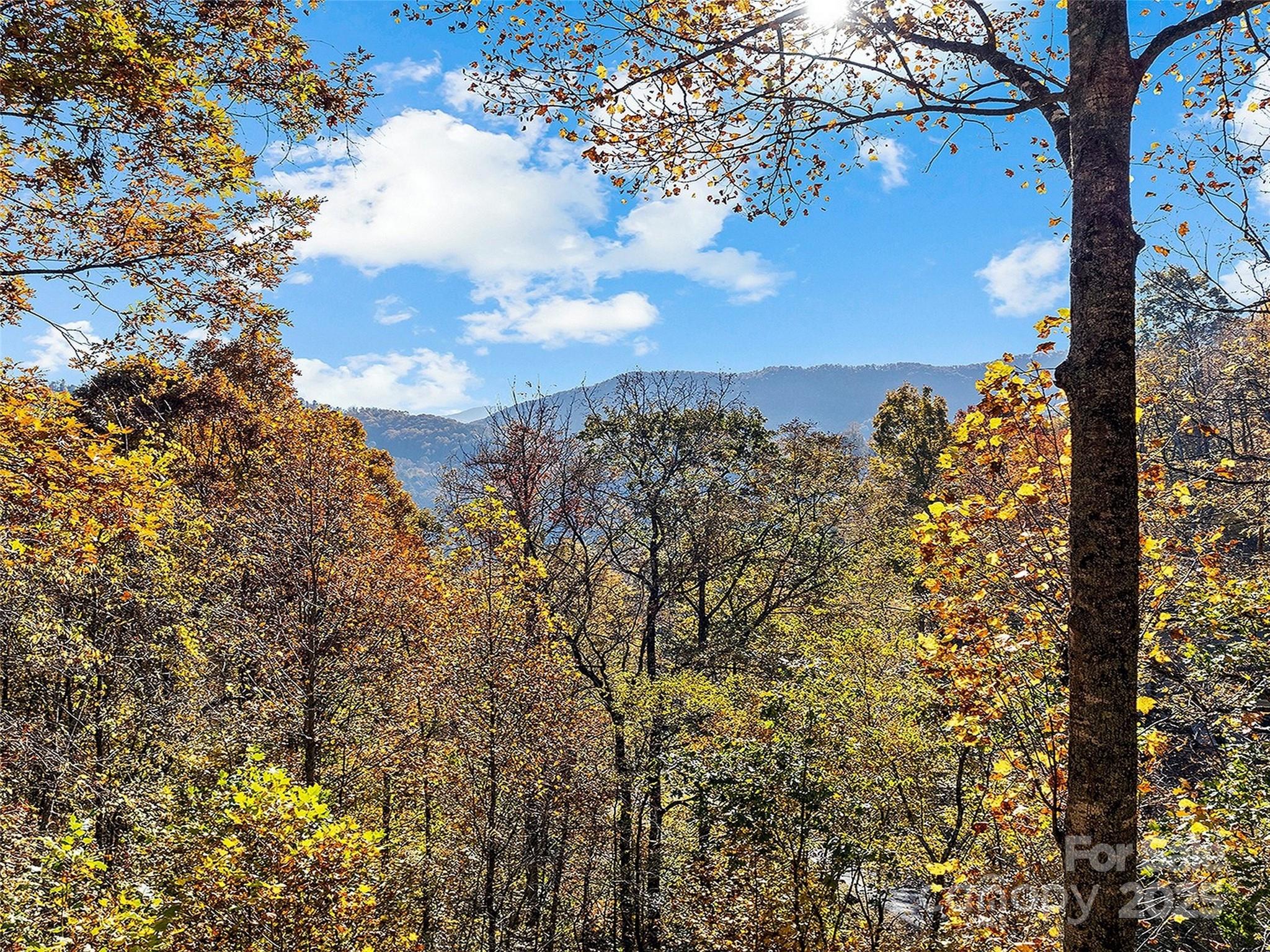 Campbell Mountain Estates - Residential