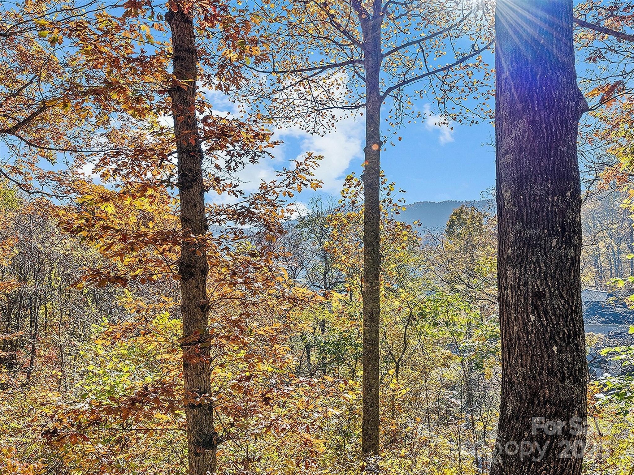 36 Wonder View Point