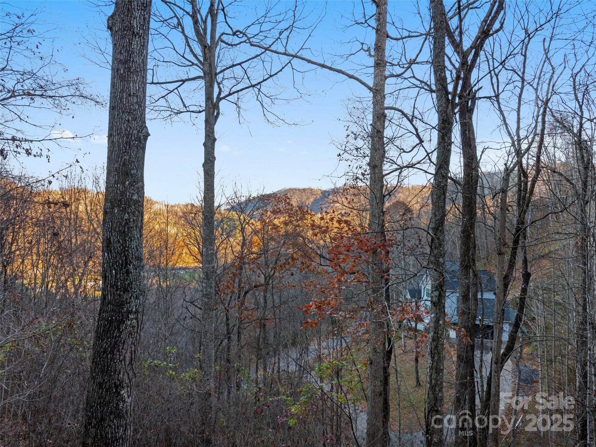 Campbell Mountain Estates - Residential