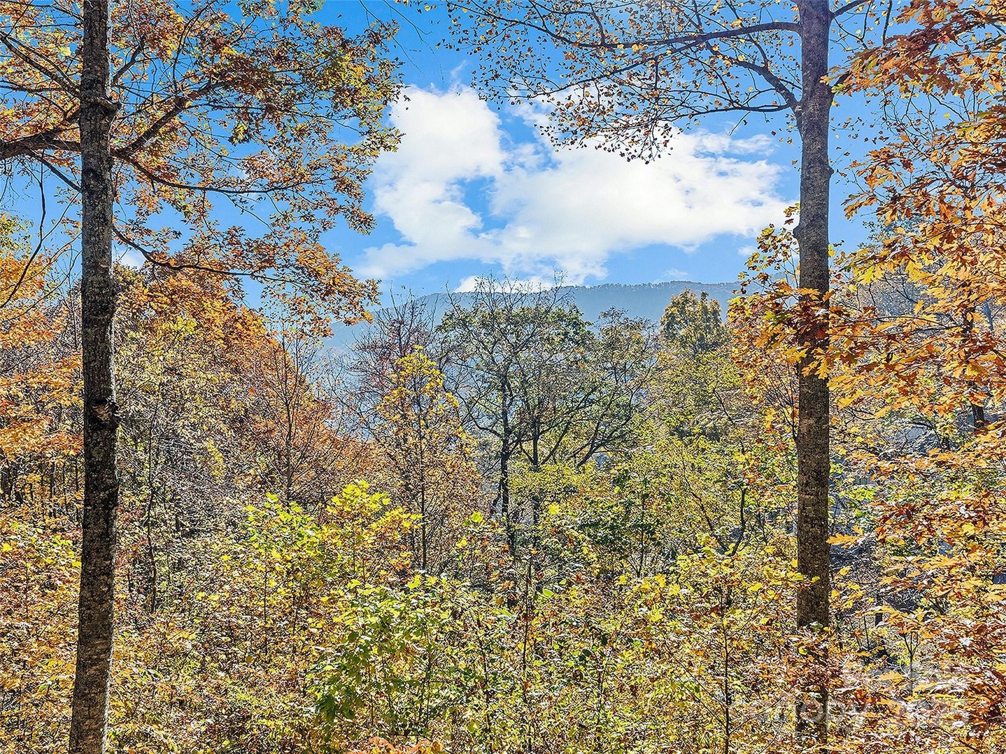 Campbell Mountain Estates - Residential