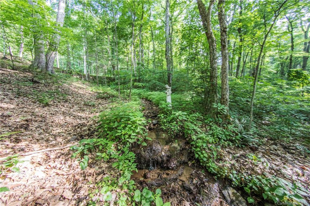 Shadow Woods - Residential