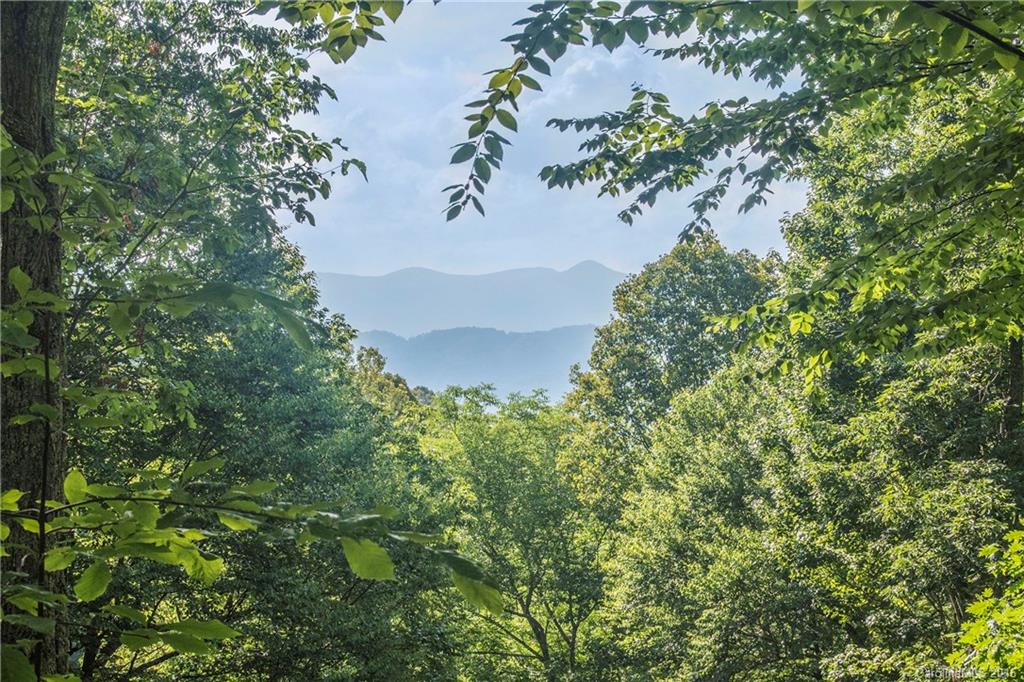 Shadow Woods - Residential