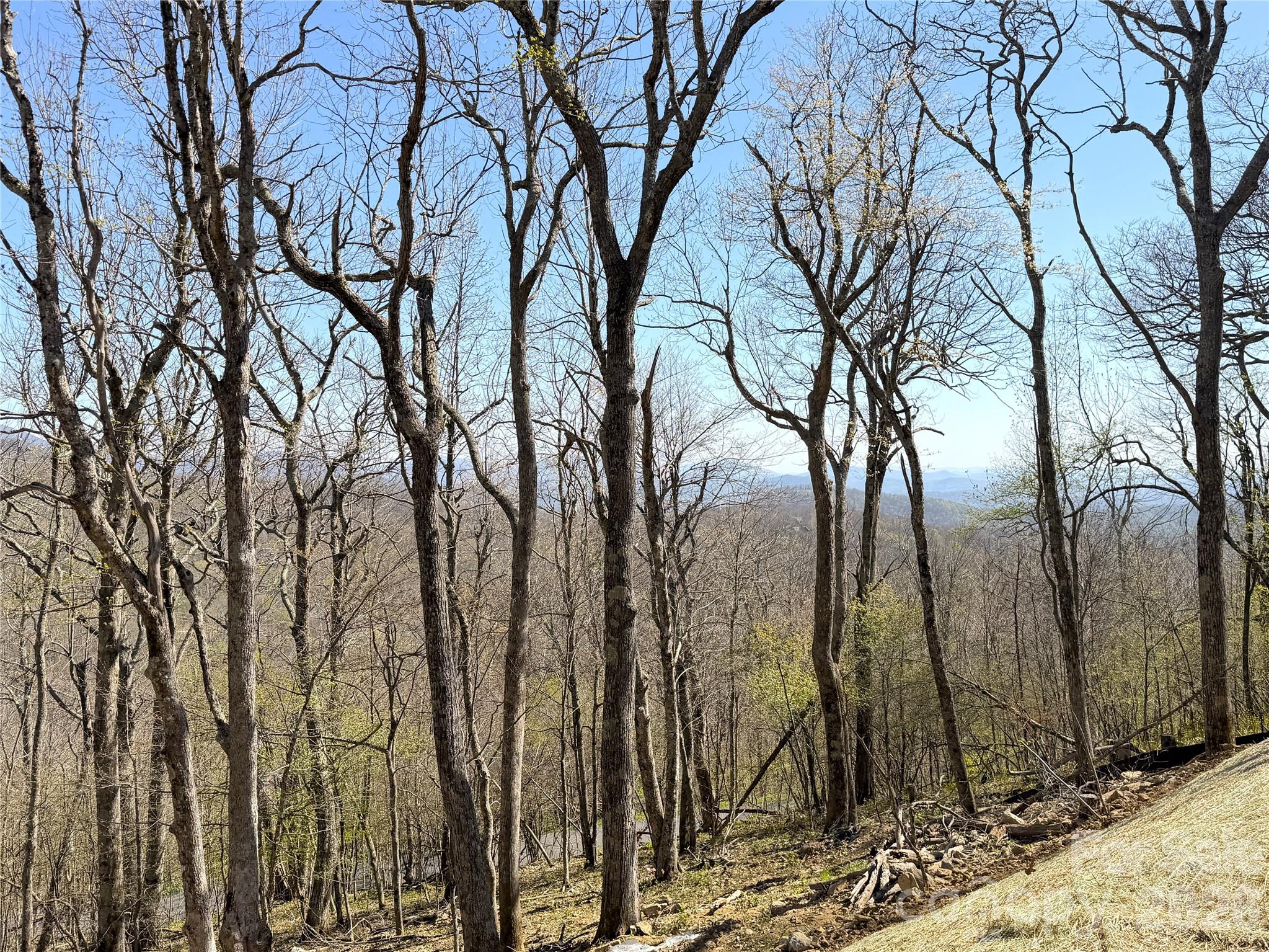 Boone Ridge - Residential