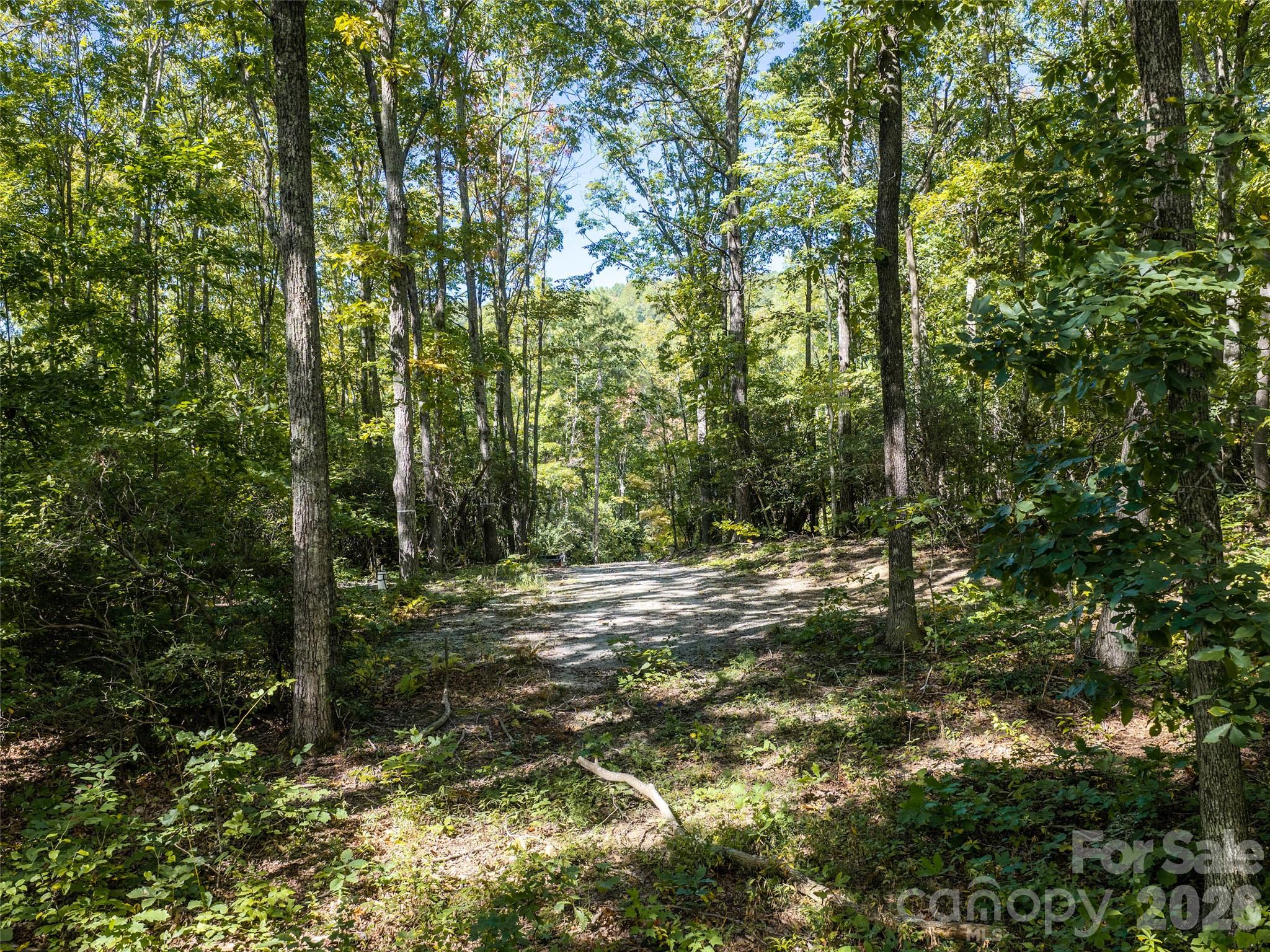 TBD Orange Plum Lane 4