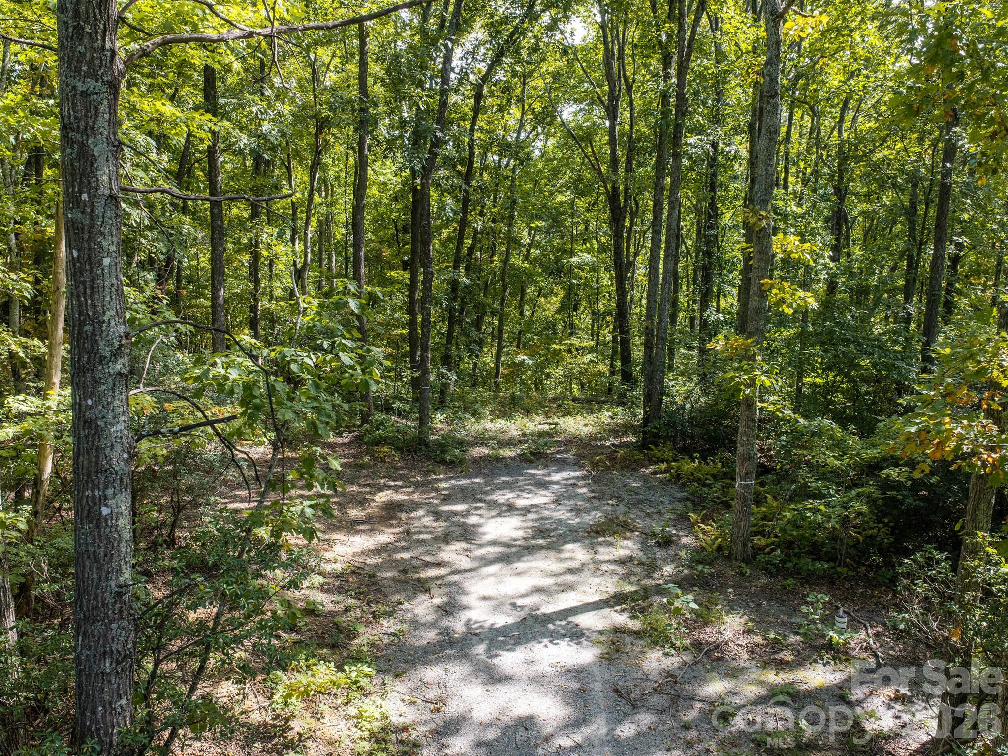 TBD Orange Plum Lane 4