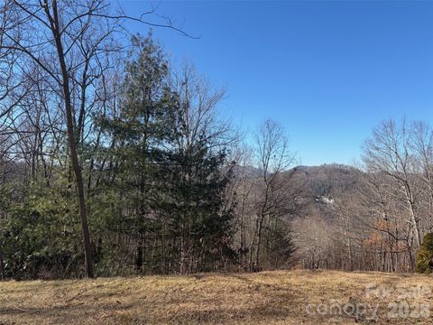 LT 42 Beechfern Drive 42 Glenville NC 28736