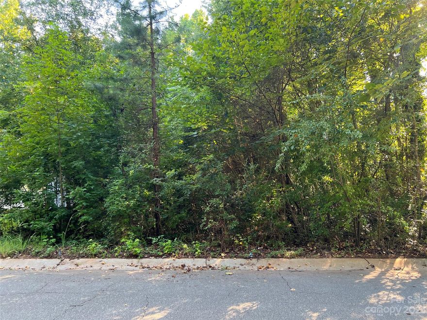 Hard to find vacant lot, 28214. Close to shopping, dining and just short commute to Uptown, this lot is priced to sell and won’t last long! Adjoining lot, 308 morningside rd is also available for sale.