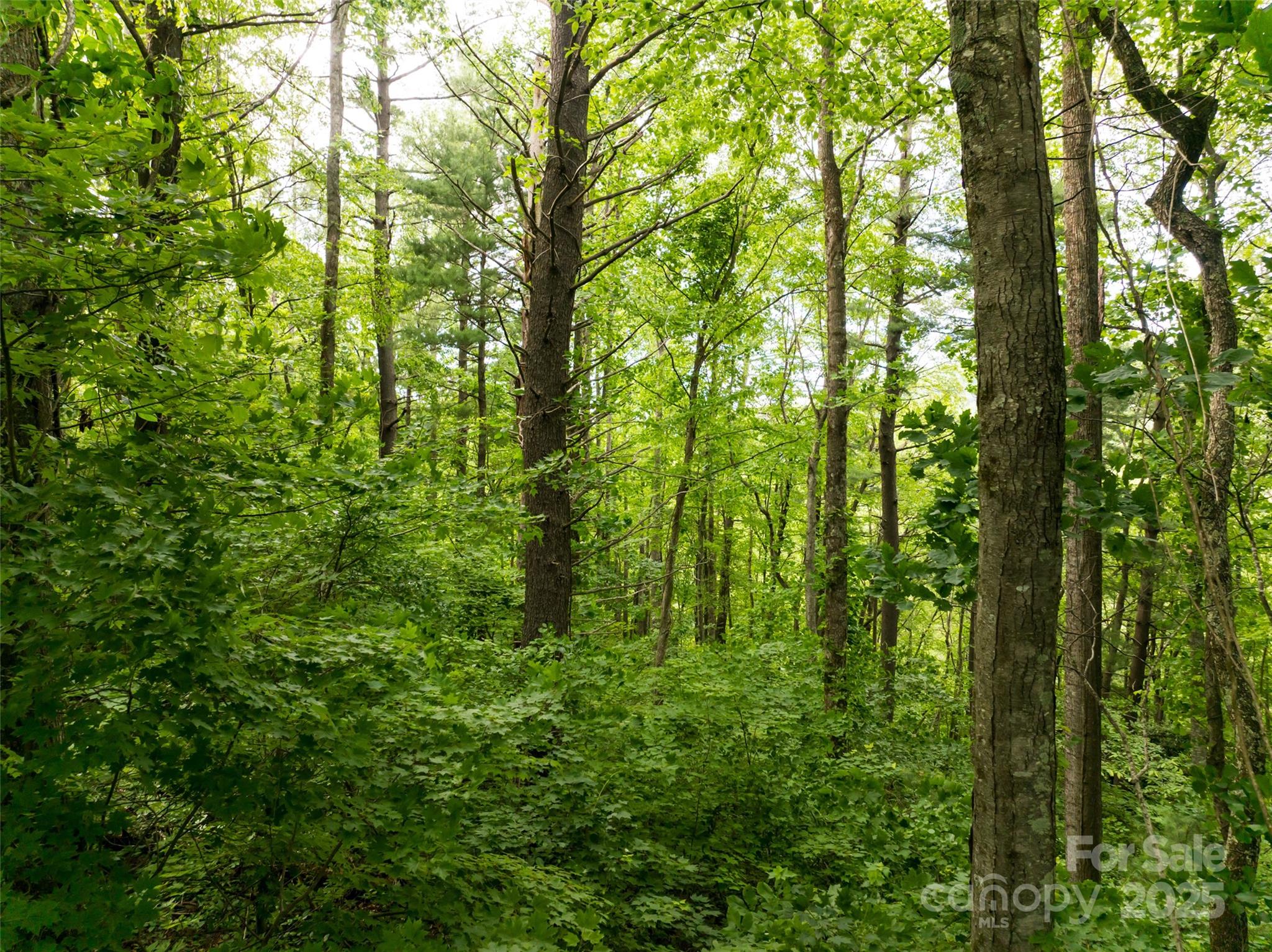 9999 White Oak Gap Road
