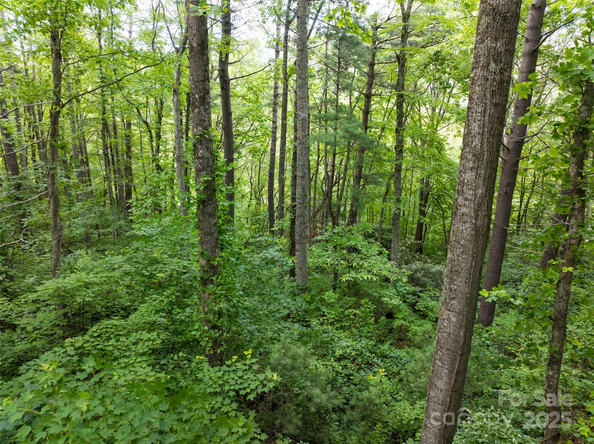 9999 White Oak Gap Road