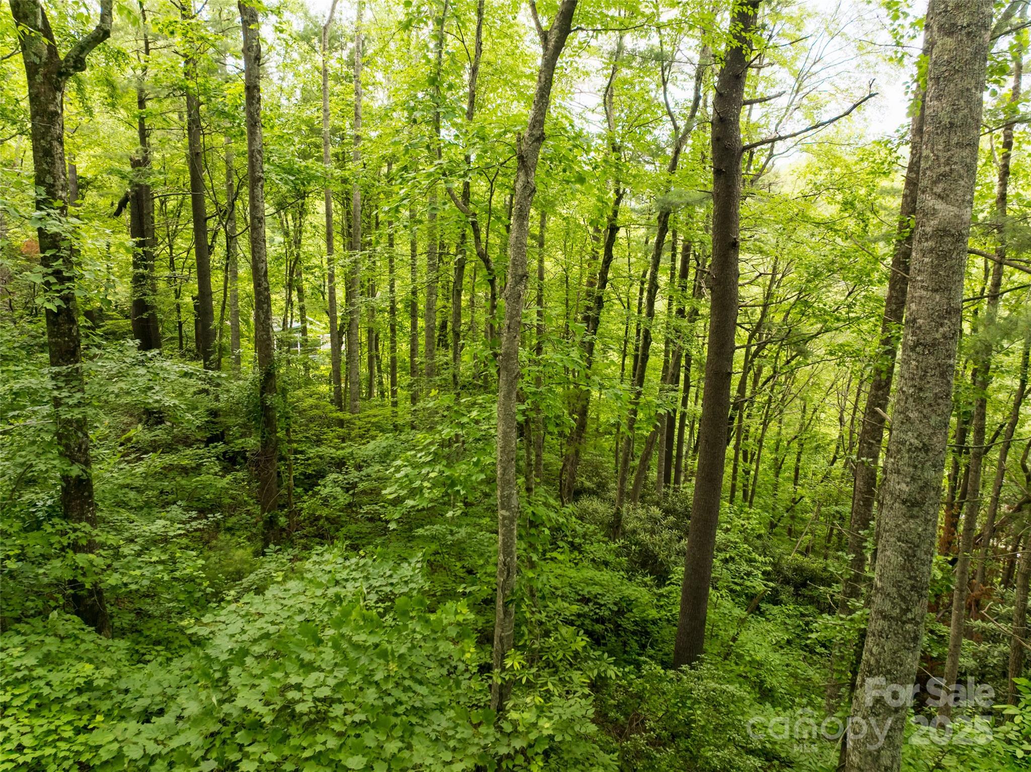 9999 White Oak Gap Road