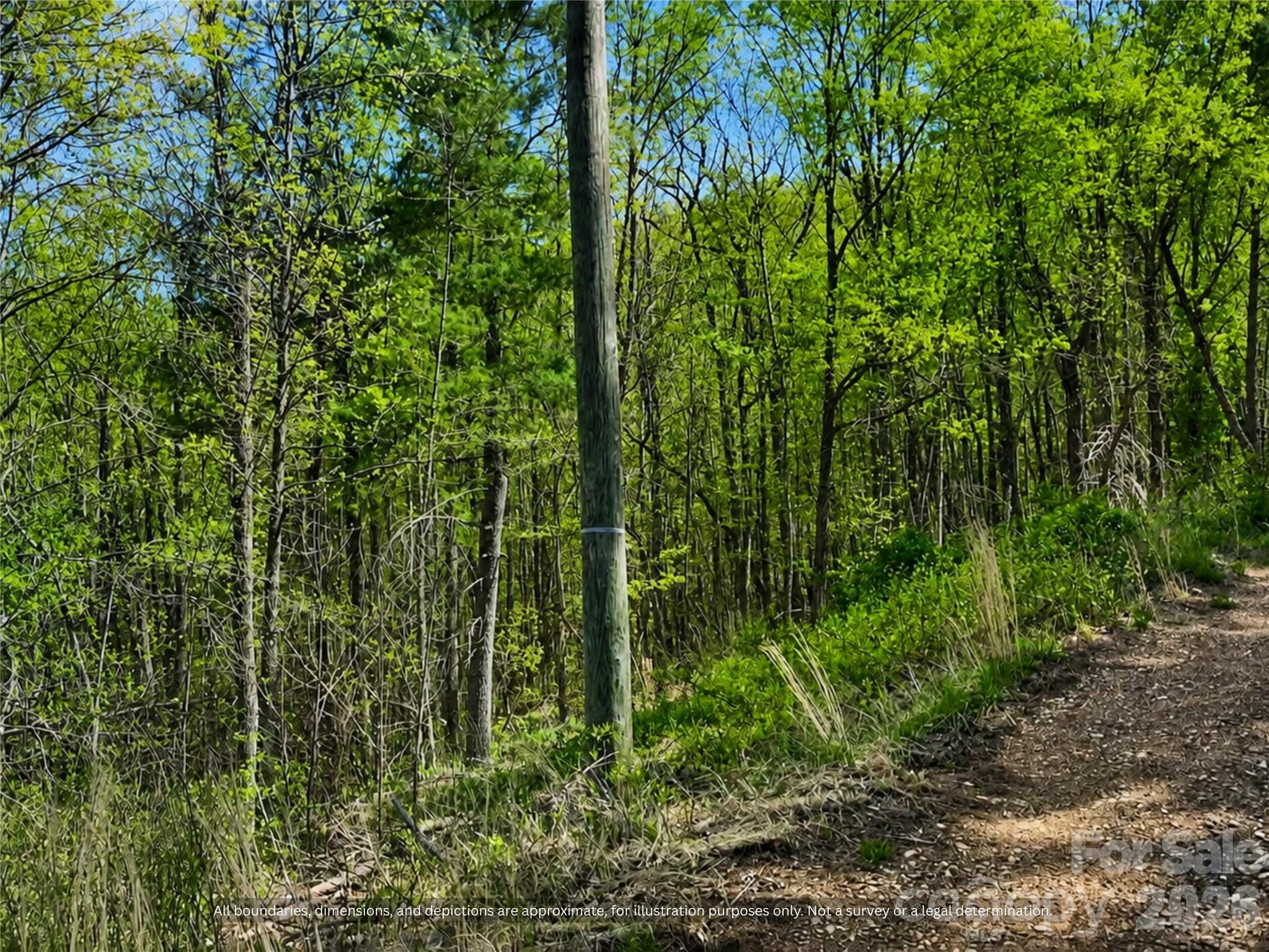 000-000 Big Rock Lane Lots 8, 9 and 10