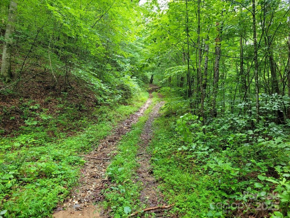 99999 Old Yellow Mountain Road