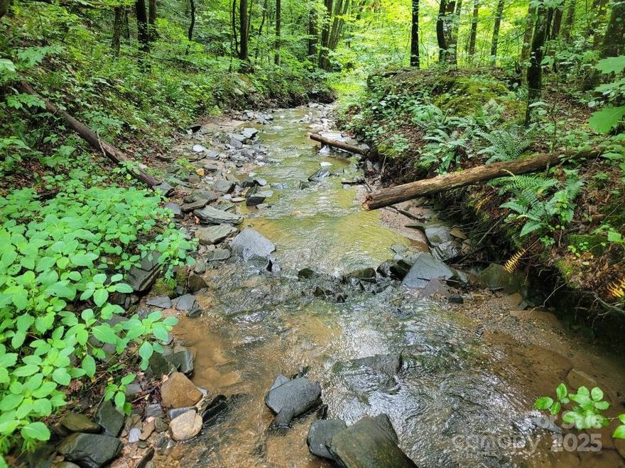 IMPROVED PRICE!!! 125 Acres of Prime Trophy Hunting & Off-Grid Living. Nestled deep in the heart of the Blue Ridge Mountains, this extraordinary 125 acre tract offers a rare blend of natural beauty, privacy, and world class hunting. Surrounded by vast forestland and completely unrestricted, this sanctuary is a dream for outdoor enthusiasts and has delivered unforgettable hunting experiences season after season. The property boasts an exceptional wildlife habitat, with thriving populations of white tailed deer, black bear, and wild turkey. The mix of merchantable timber include pine, hardwoods, and large poplar stands with ideal cover and forage, while natural spring water sources and Walnut Cove Creek, flowing year round, support a healthy ecosystem. Choose from many potential build sites, including gently sloping terrain and level ridgetops with long range mountain views for your secluded cabin, family compound, or private getaway. Seller is motivated. Showings by appointment only.