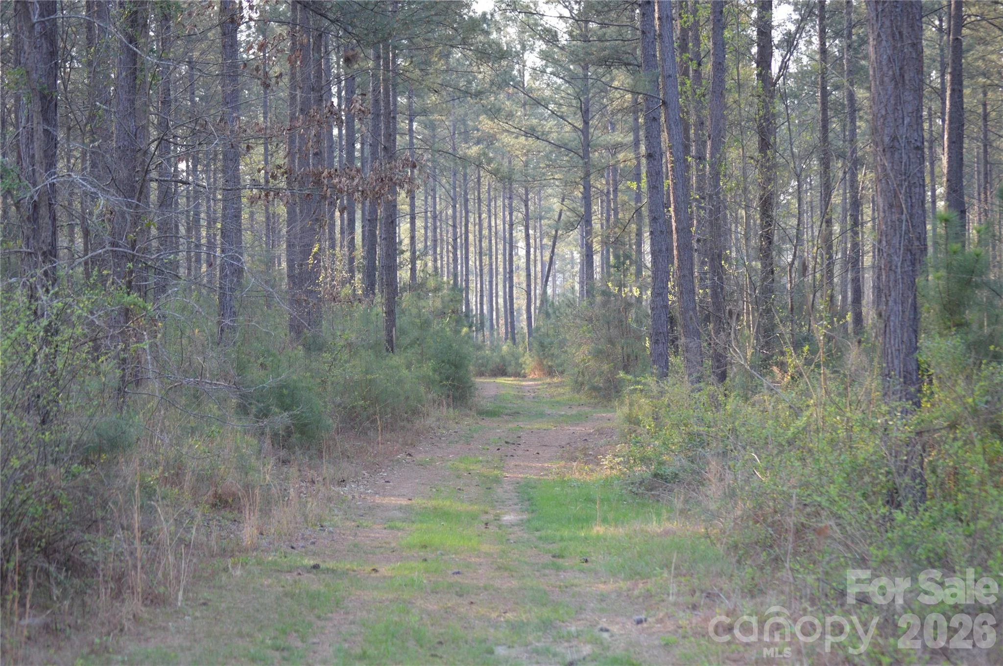 00 Peter Hawk Creek Road Unit 13, Jonesville, SC, 29353