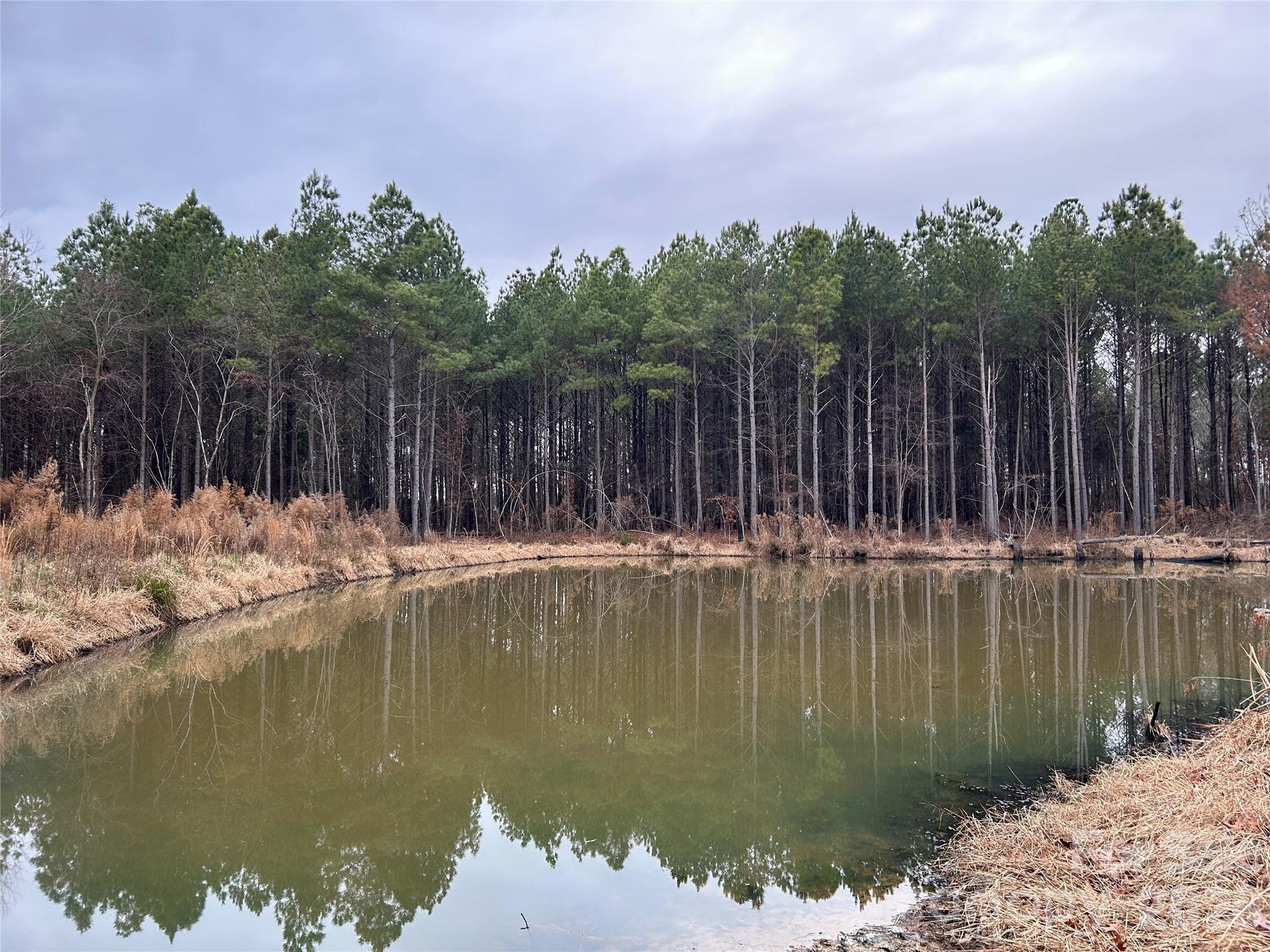 1440 Carl Taylor Road