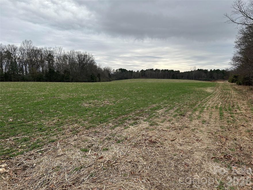 +/- 47.36 acres of prime farm and timberland located in the peaceful Burnsville Township of Anson County. This versatile tract includes 20± acres of mixed loblolly pine and hardwood timber, 27± acres of active cropland, and two stocked ponds with bass and bream—ideal for an outdoor enthusiast. A verbal lease is in place on the cropland; current crops will not convey. The property offers excellent hunting opportunities with frequent sightings of deer, turkey, and waterfowl. Recent Timber Stand Improvement (TSI) work and prescribed understory burns (most recently in February 2026) enhance timber growth and wildlife habitat. The site features approximately 565 ft. of road frontage along Carl Taylor Road (SR 1440). County water is indicated by GIS as available at the road. Conveniently located between NC Highway 742 (approx. 2.5 miles) and NC Highway 218 (under 2 miles), this tract offers easy access while maintaining a quiet rural feel. Perfect for farming, recreation, hunting, or future homesite development.