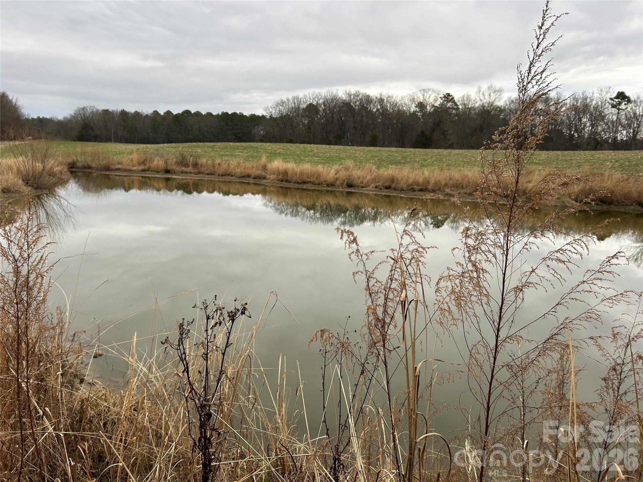 1440 Carl Taylor Road