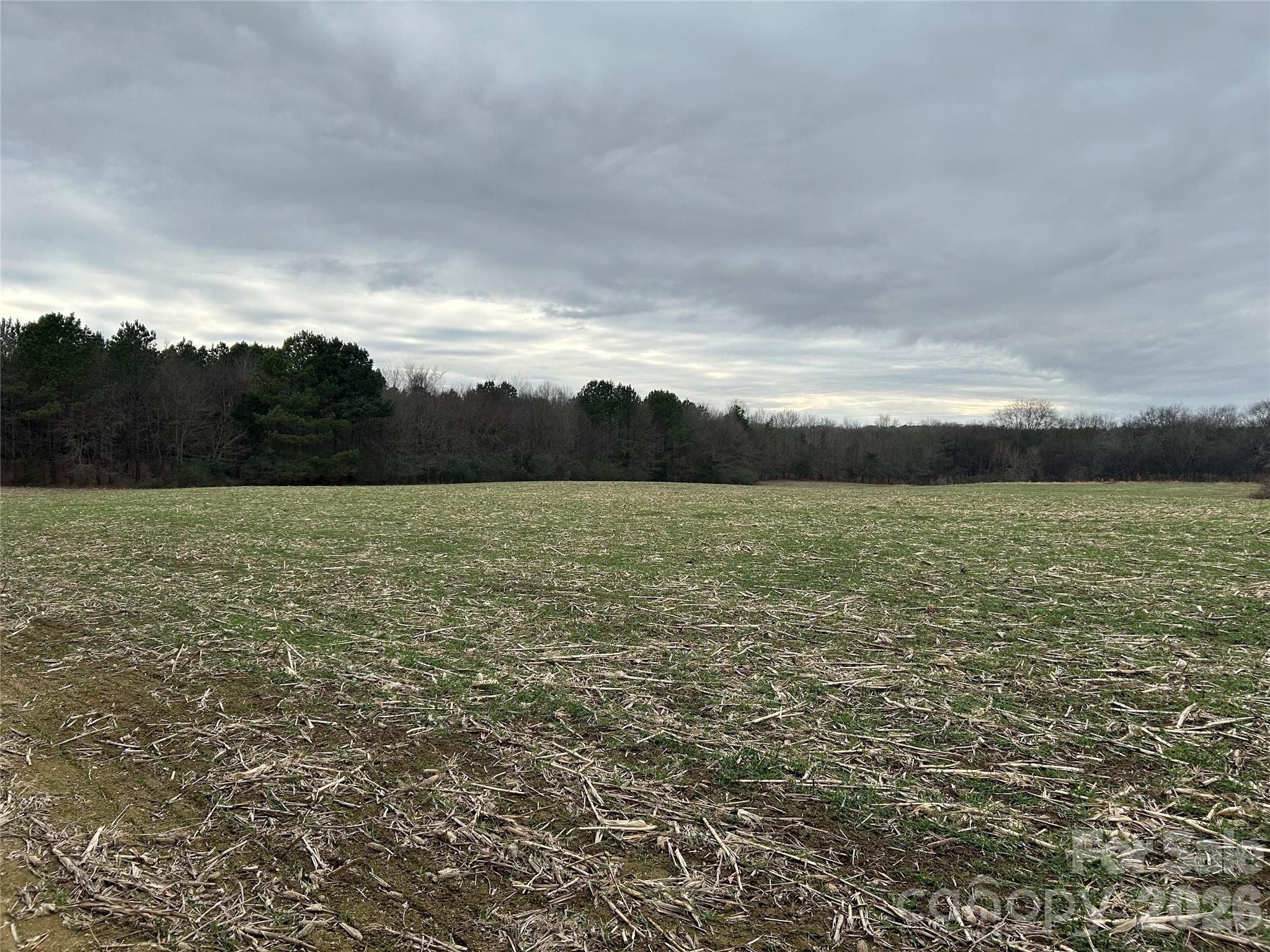 1440 Carl Taylor Road