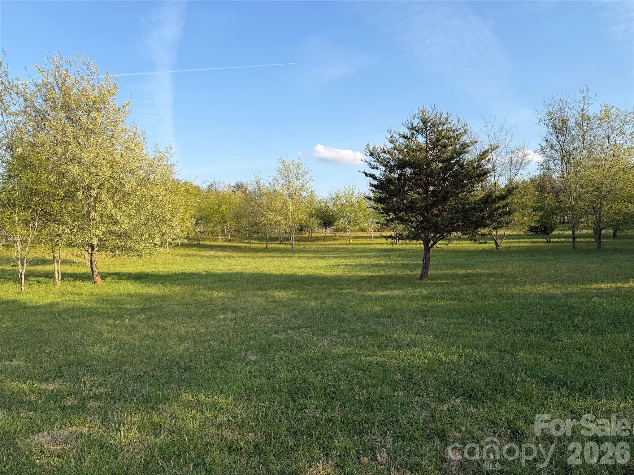 201 Blue Mountain Lane 1