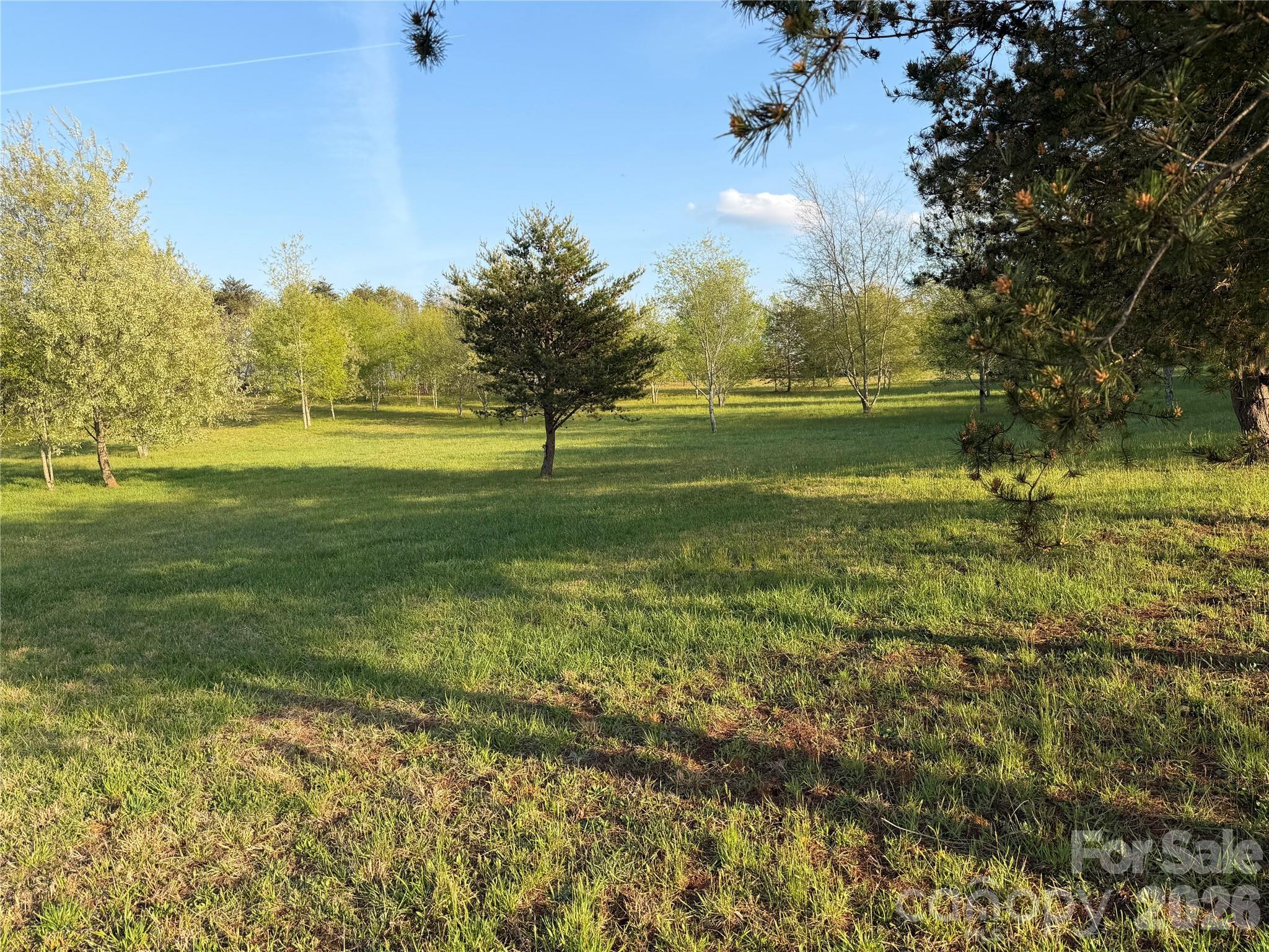 201 Blue Mountain Lane 1