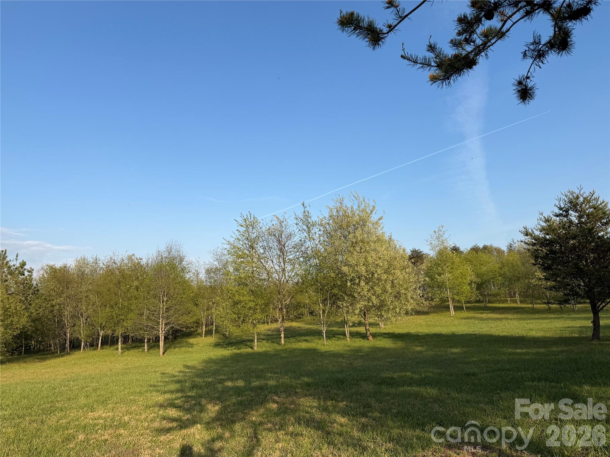 201 Blue Mountain Lane 1