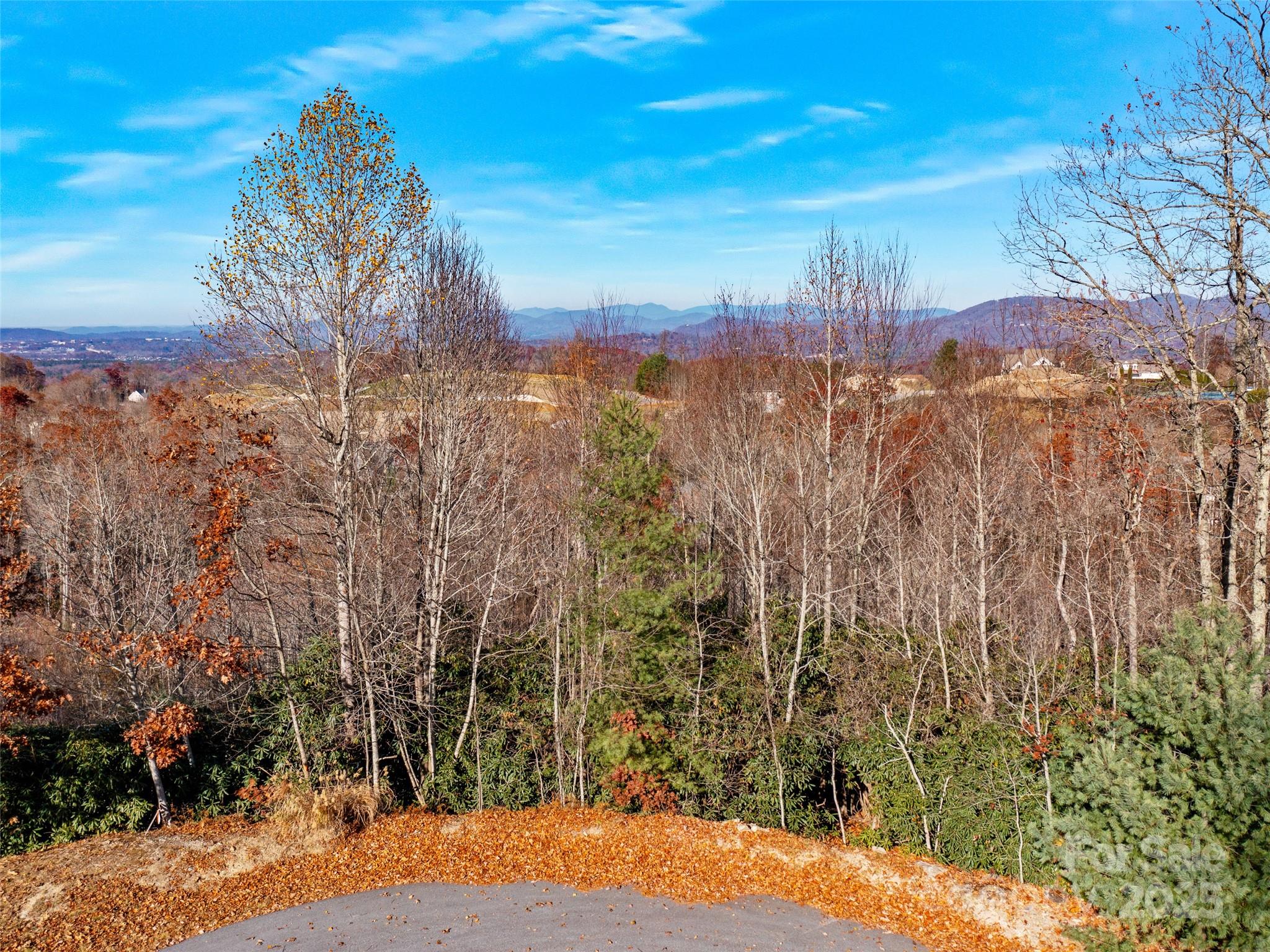 99999 Bay Laurel Lane