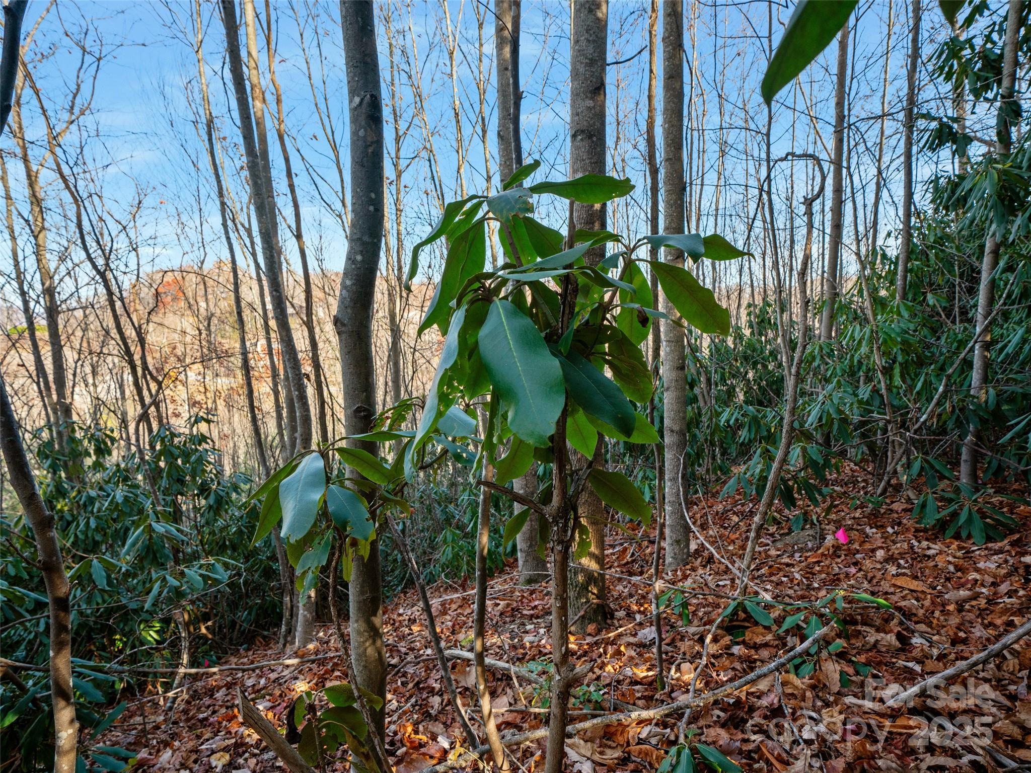 Carriage Park - Residential