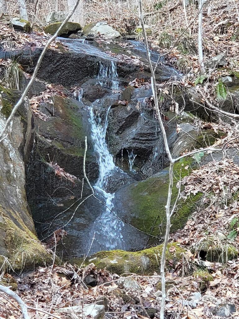 9999 Cindy Cove Trail