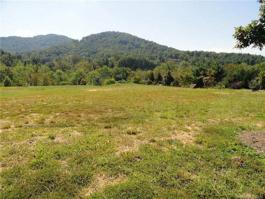 Asheville's Premier Neighborhood - The Thoms Estate! A total of 92 custom home lots in an up-scale community just a few blocks from the Country Club of Asheville and half a mile from Fresh Market, Ingles and other shopping. Lots range in size from approximately .25 acres to 1.6 acres. Architectural Review Committee to approve all custom home plans.