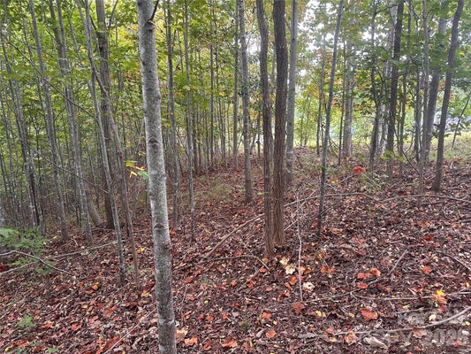 311 SCENIC VISTA DR # 254, NEBO, NC 28761 - Image 0c7eee08c32c1e1d1397a02fb4dd335d/1877605685