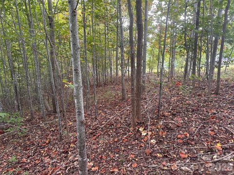 311 Scenic Vista Drive 254 Nebo NC 28761