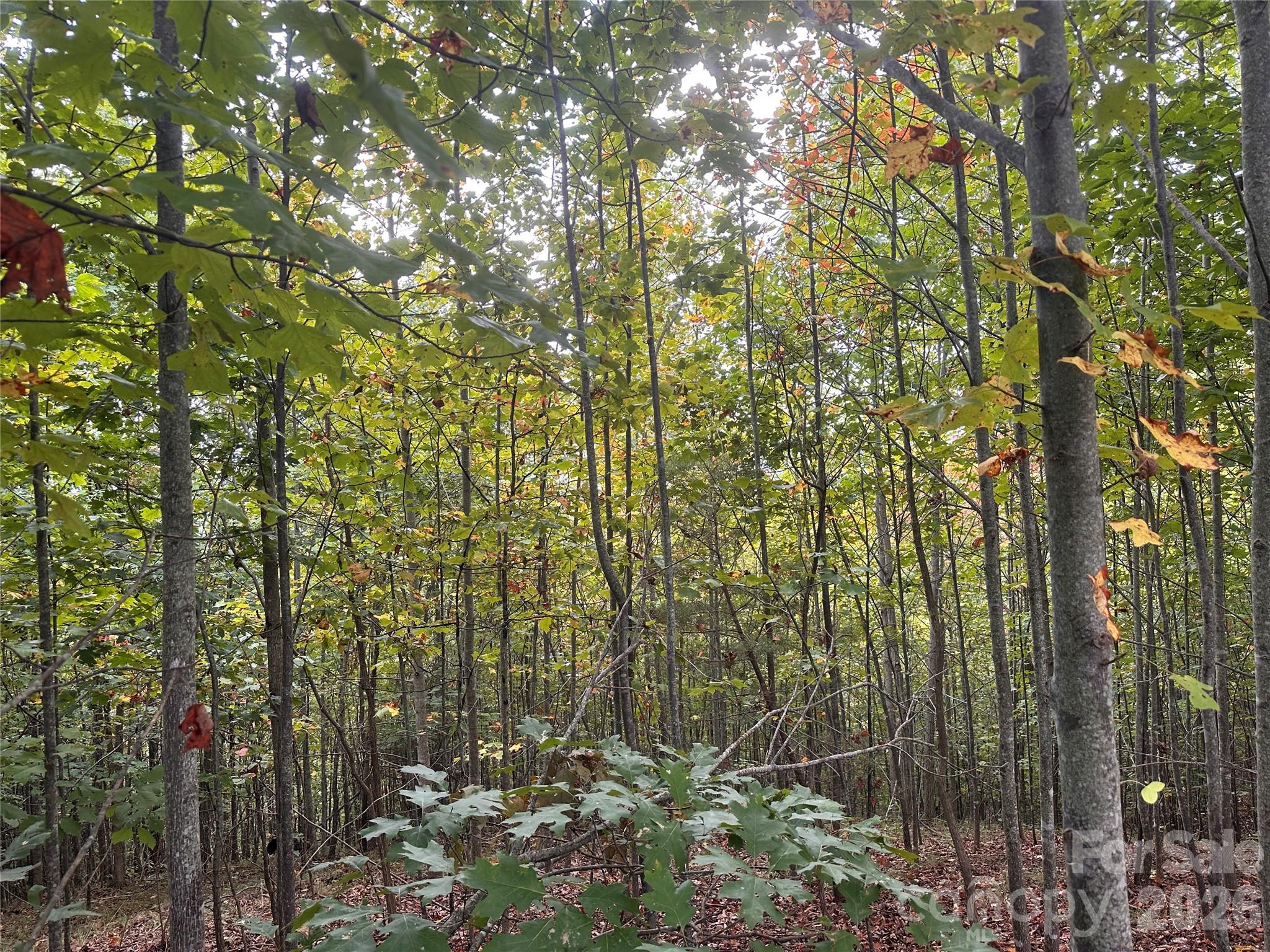 Grandview Peaks - Land