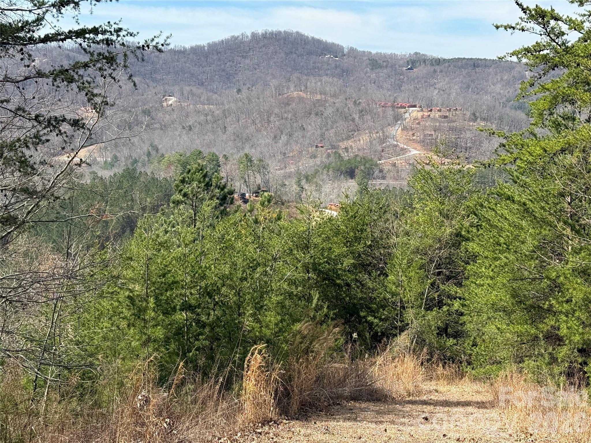 Lot 165 Pinegrove Drive 165