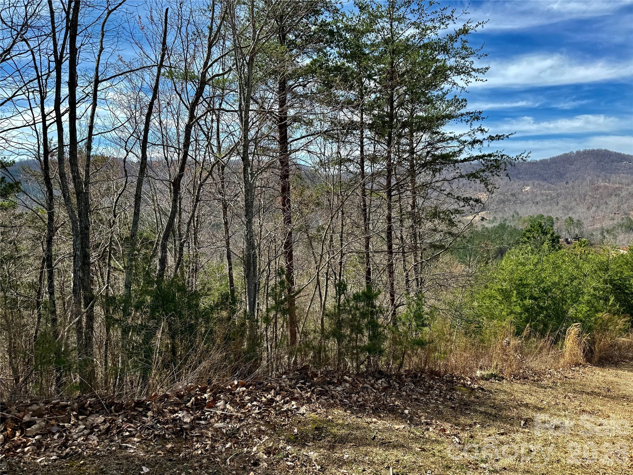Lot 165 Pinegrove Drive 165