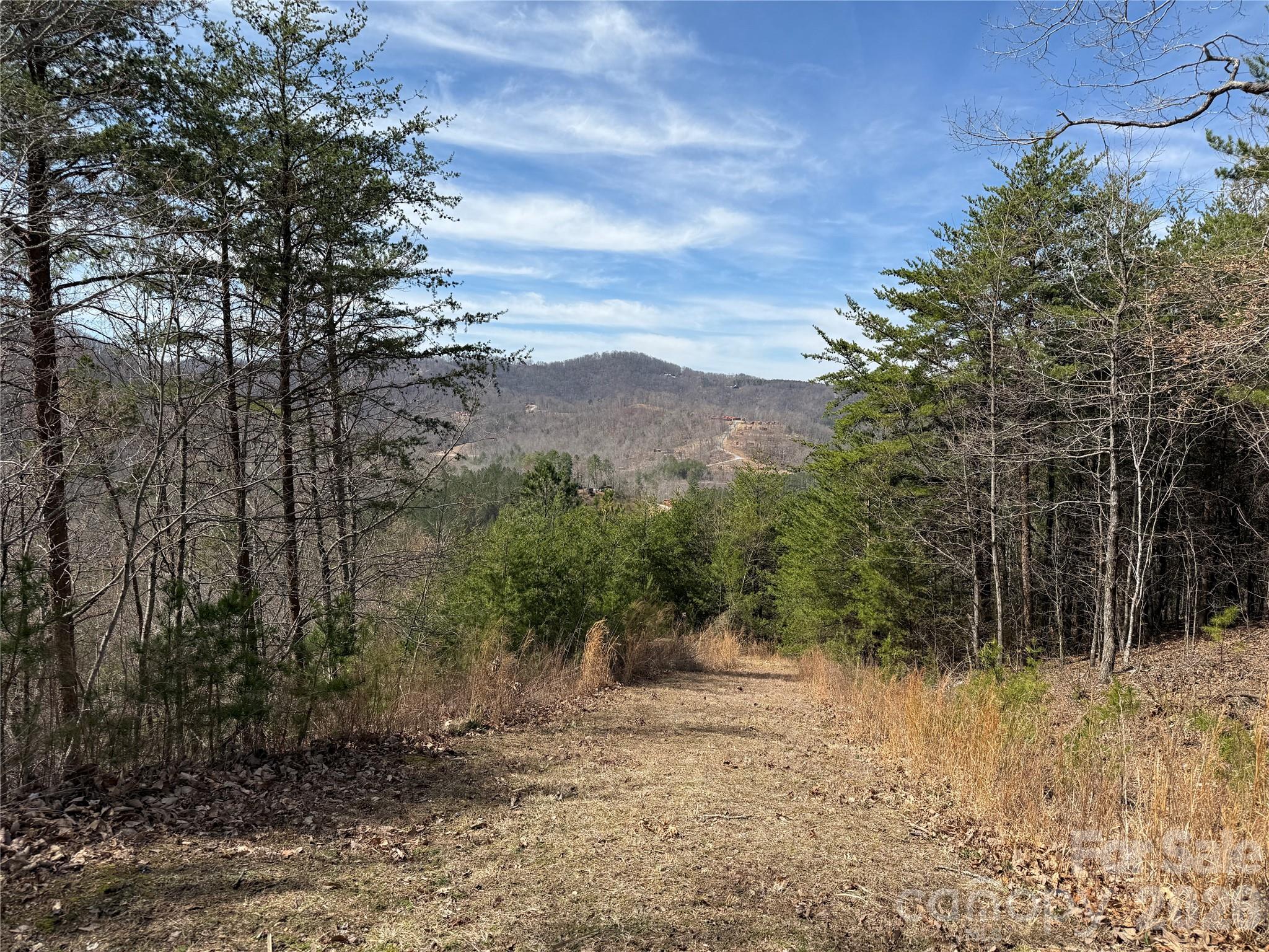 Lot 165 Pinegrove Drive 165