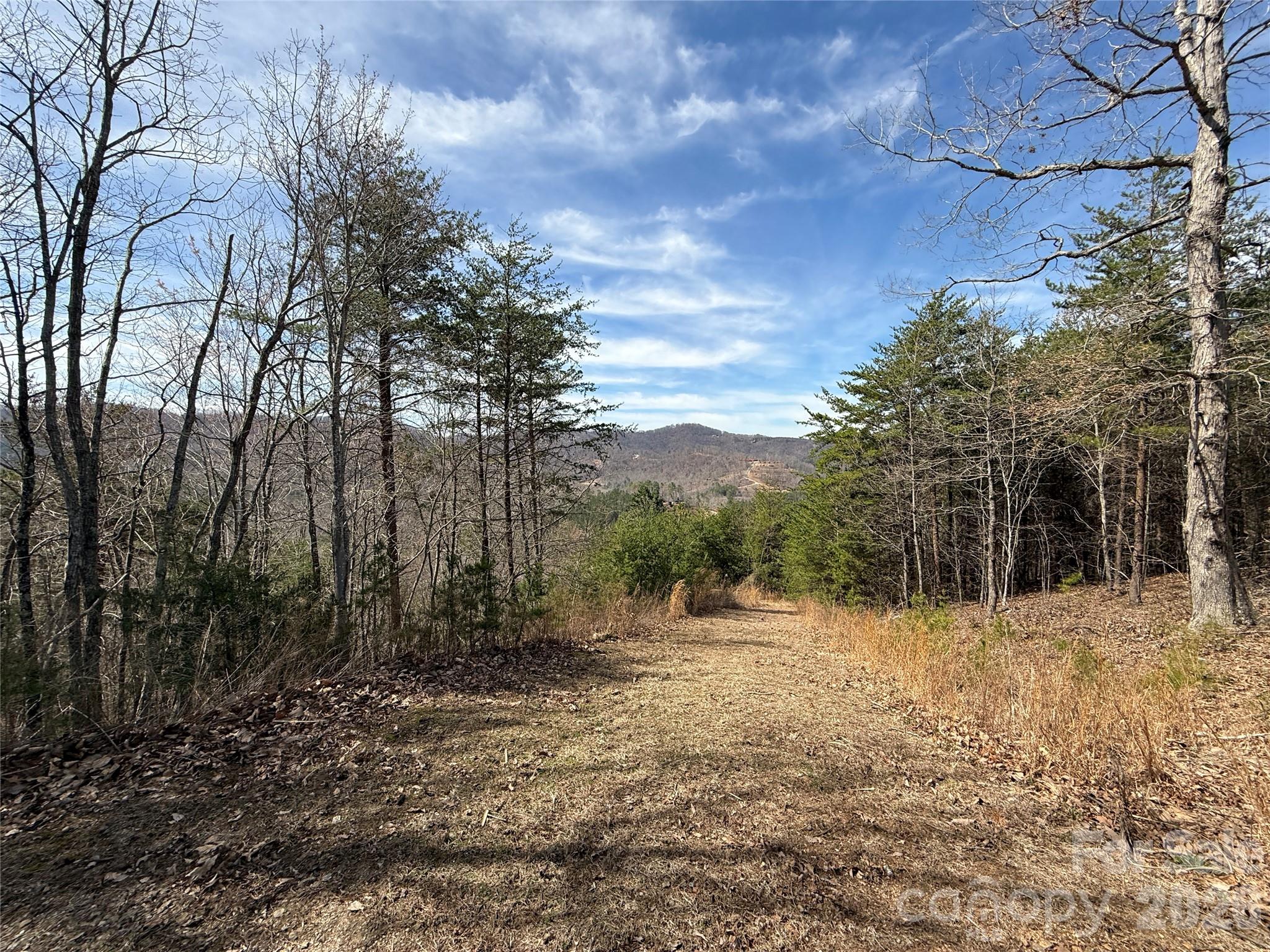 Lot 165 Pinegrove Drive 165