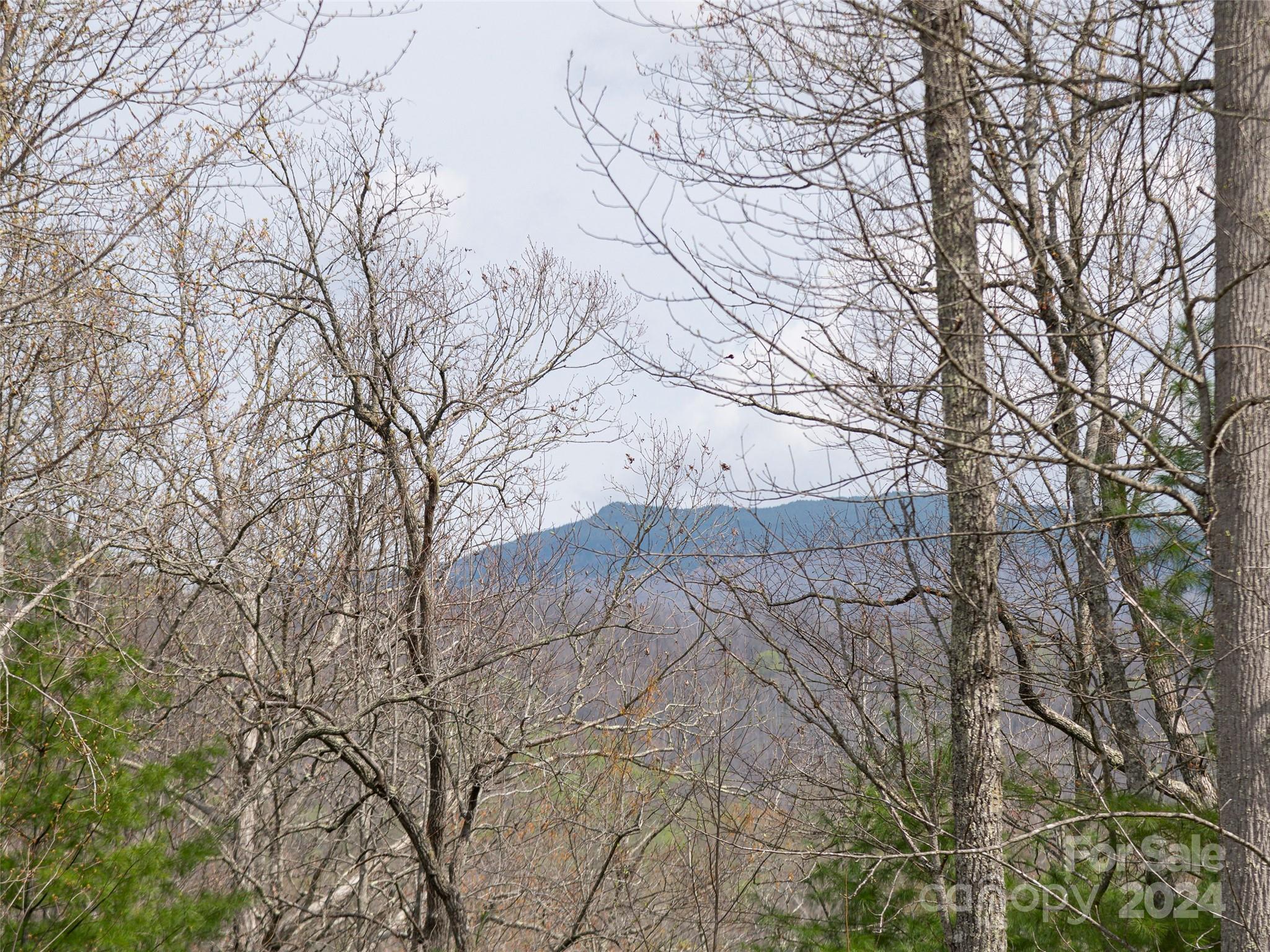 Republic Subdivision - Residential