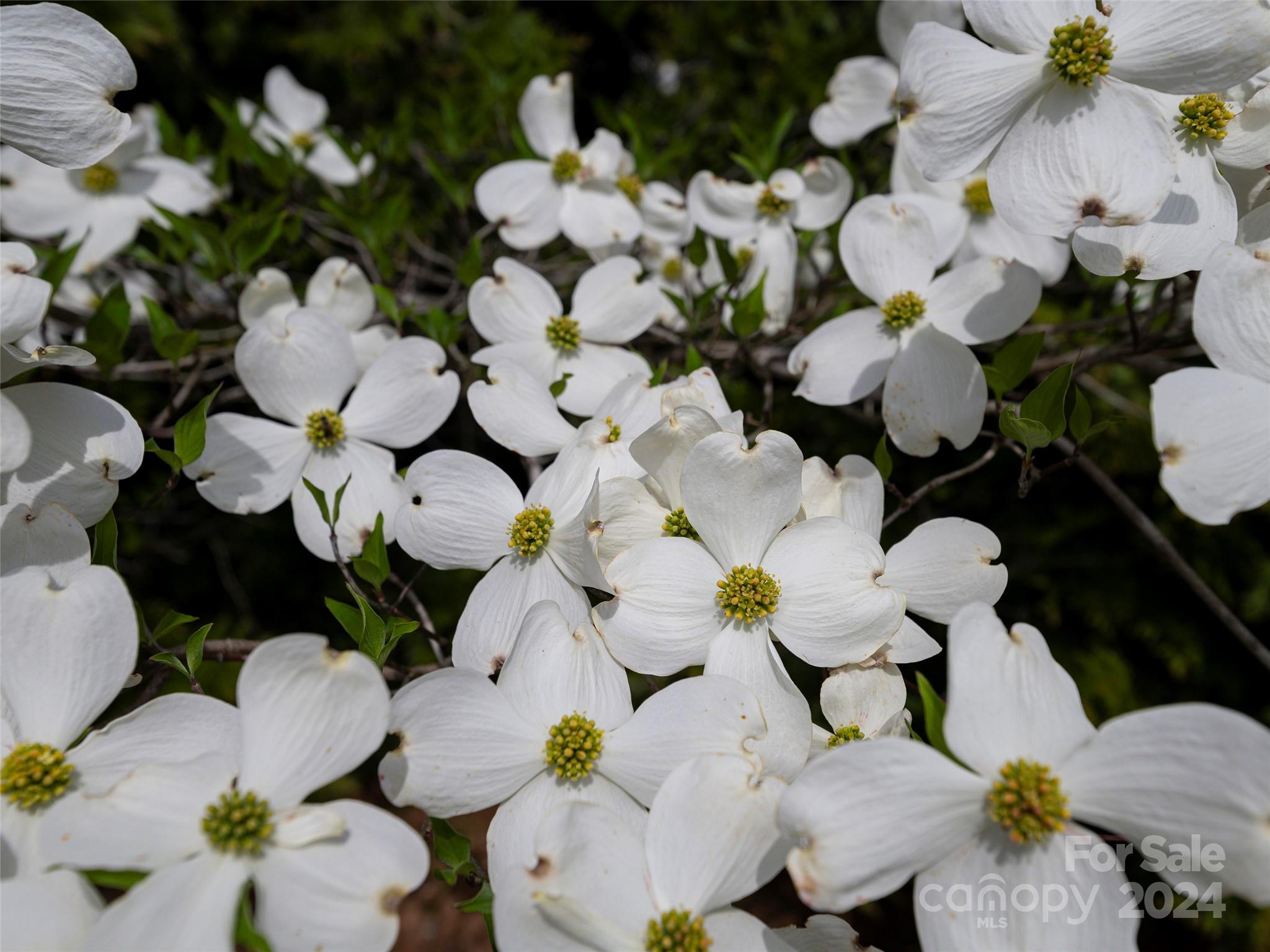 Republic Subdivision - Residential